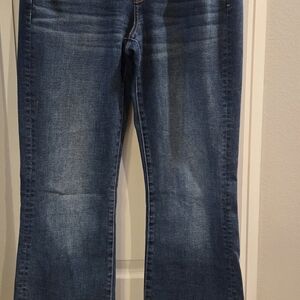 AE Outfitters 10L Kickboot Jeans